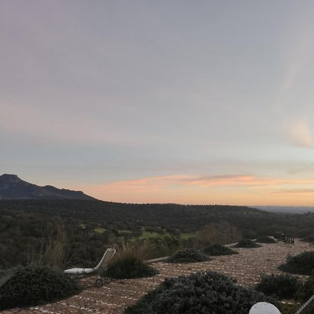Puebla de la ReinaDehesa El Aguila公寓 外观 照片