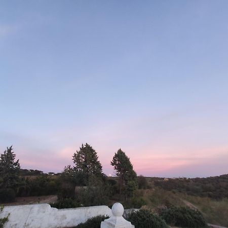 Puebla de la ReinaDehesa El Aguila公寓 外观 照片